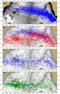 Observing the spread of Agulhas Leakage into the Western South Atlantic by tracking mode waters within ocean rings